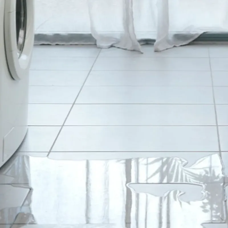 Appliance Leak Cleanup in Montgomery County, MS