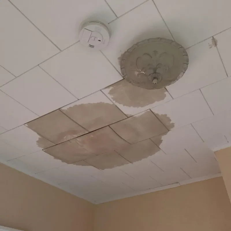 Ceiling Water Damage Repair in Montgomery County, MS