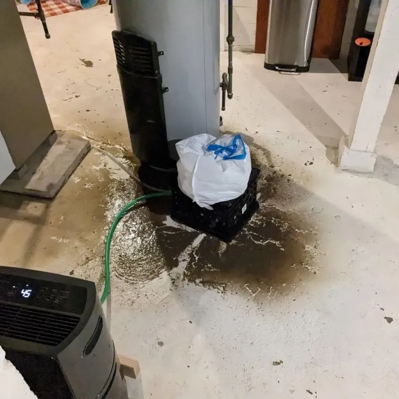 Sewage Backup Cleanup Service in Montgomery County, MS